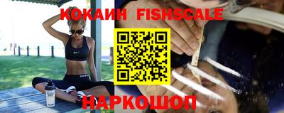 ешки Гай