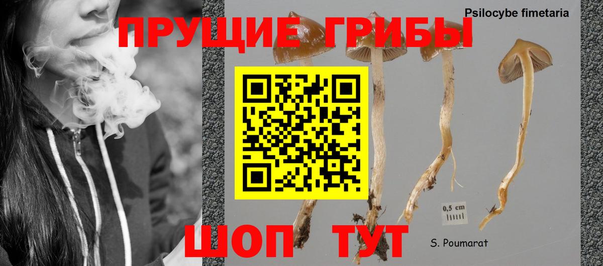 Галлюциногенные грибы мицелий  купить   Валуйки  Вход с VPN 