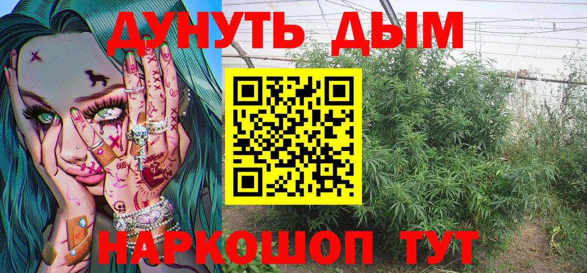 Шишки марихуана планчик  Вход с VPN  Валуйки  Марихуана Bruce Banner 